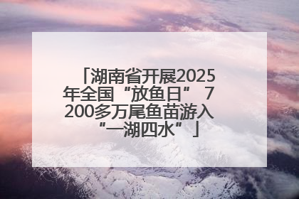 湖南省开展2025年全国“放鱼日” 7200多万尾鱼苗游入“一湖四水”